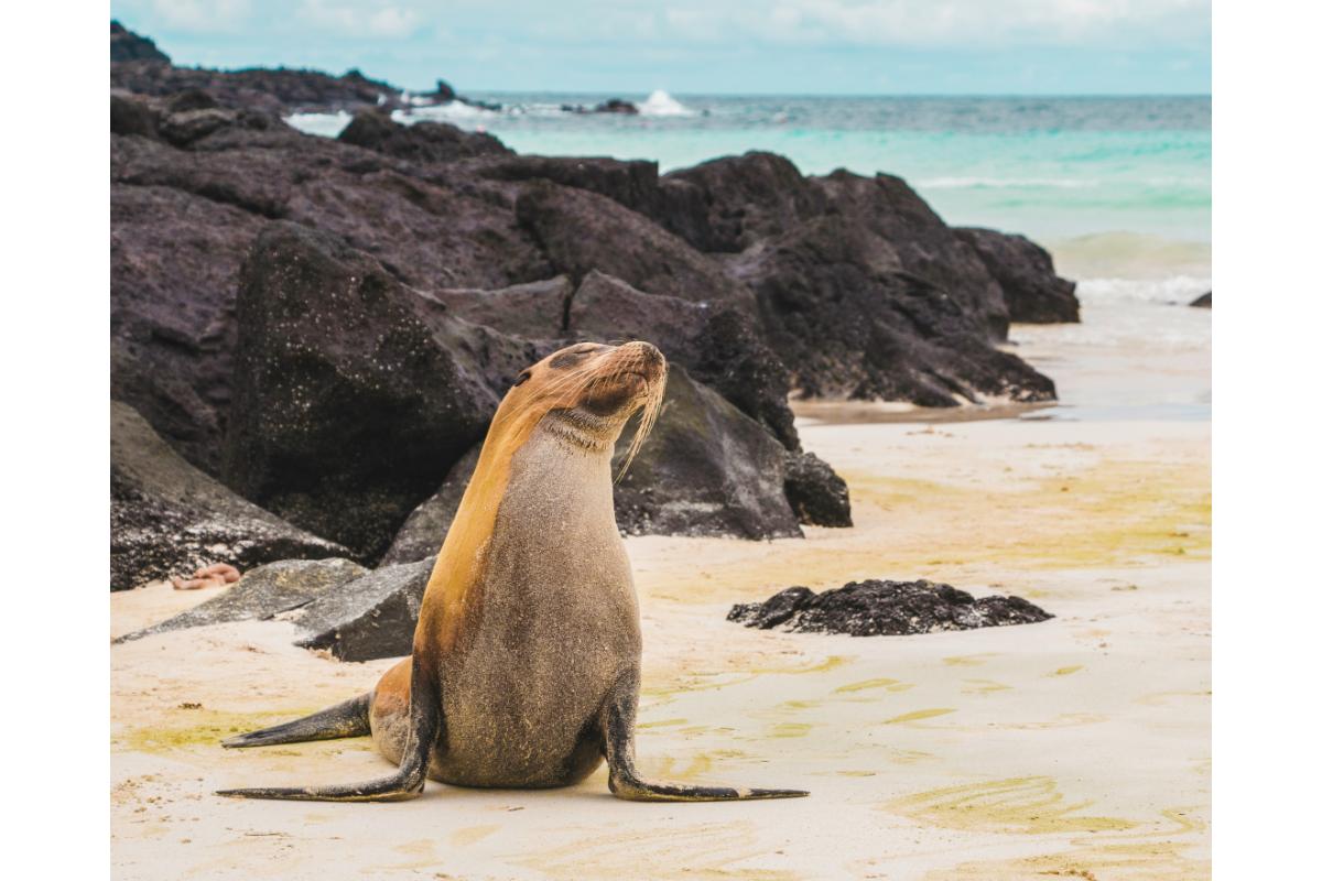 A view of Galapagos Islands